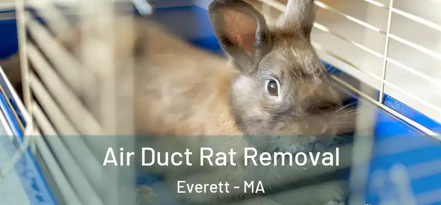  Air Duct Rat Removal Everett - MA