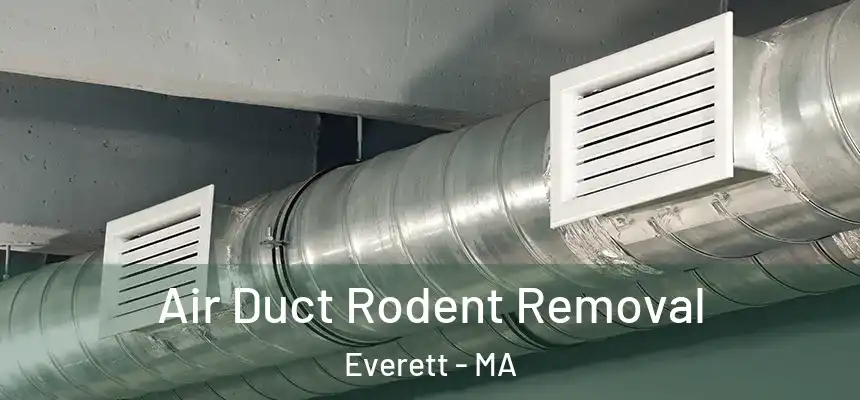 Air Duct Rodent Removal Everett - MA