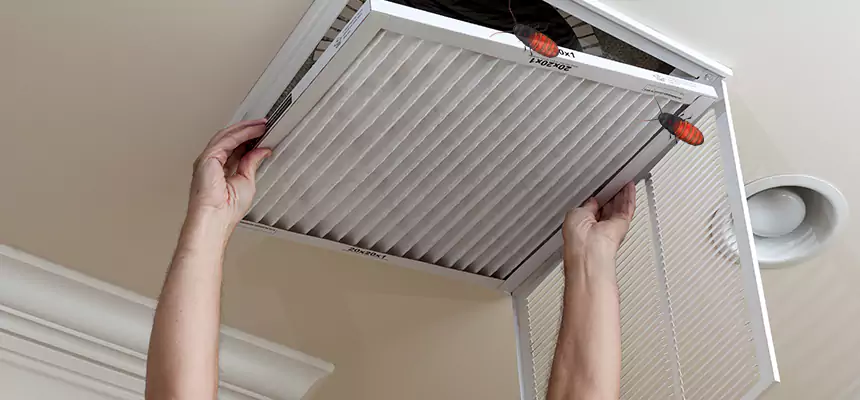 Our Insect Removal from Air Ducts Services in Everett, MA