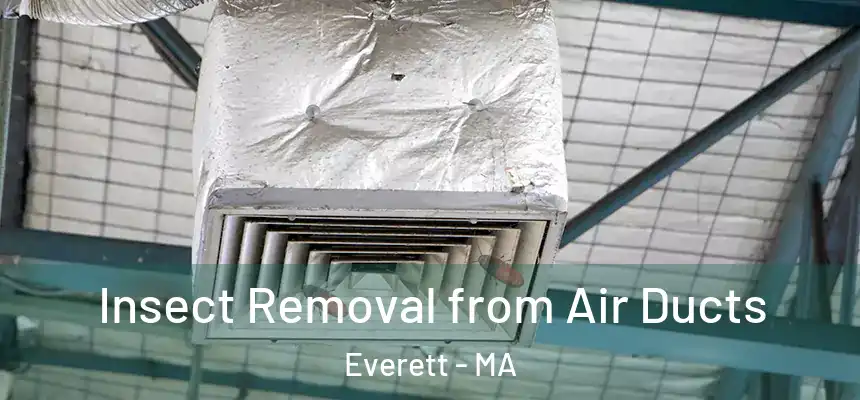  Insect Removal from Air Ducts Everett - MA