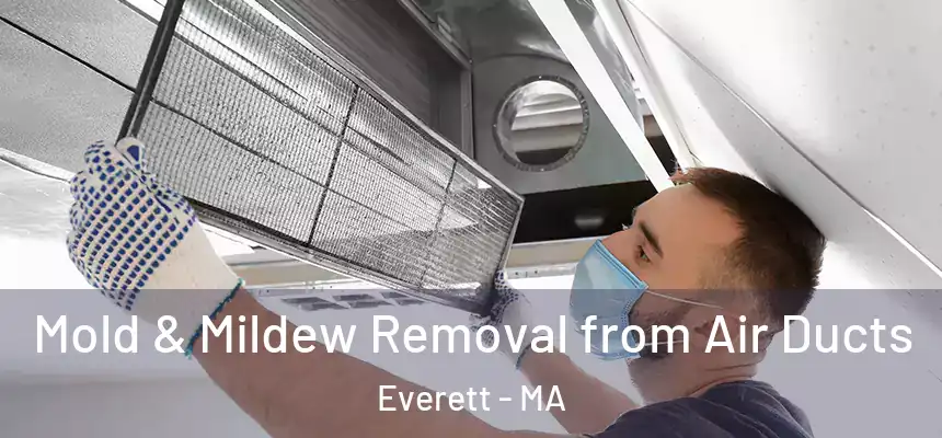  Mold & Mildew Removal from Air Ducts Everett - MA
