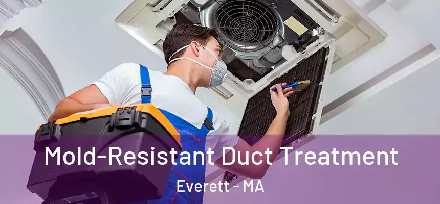  Mold-Resistant Duct Treatment Everett - MA