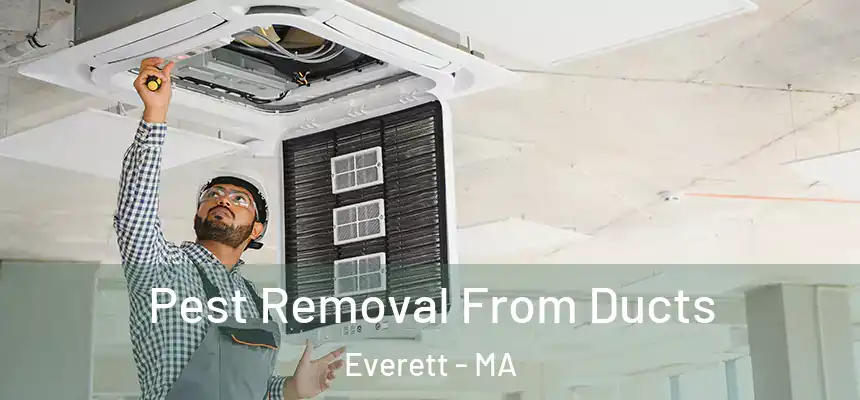 Pest Removal From Ducts Everett - MA