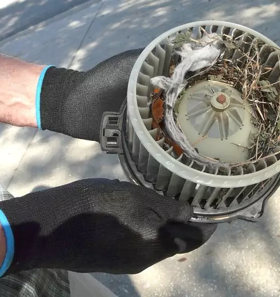 About Air Duct Mice Removal in Everett, MA