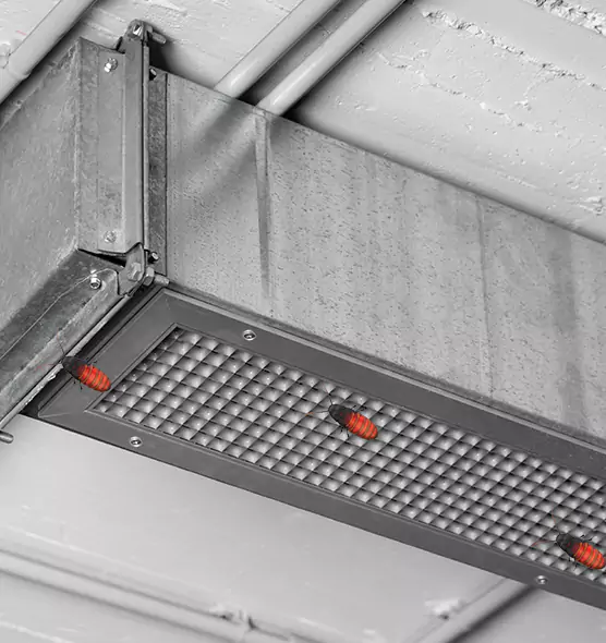 Affordable Insect Removal from Air Ducts in Everett, MA
