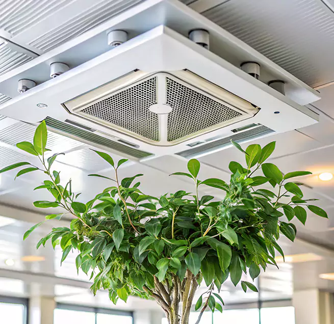 Why Homeowners & Businesses Trust Us in Everett, MA?